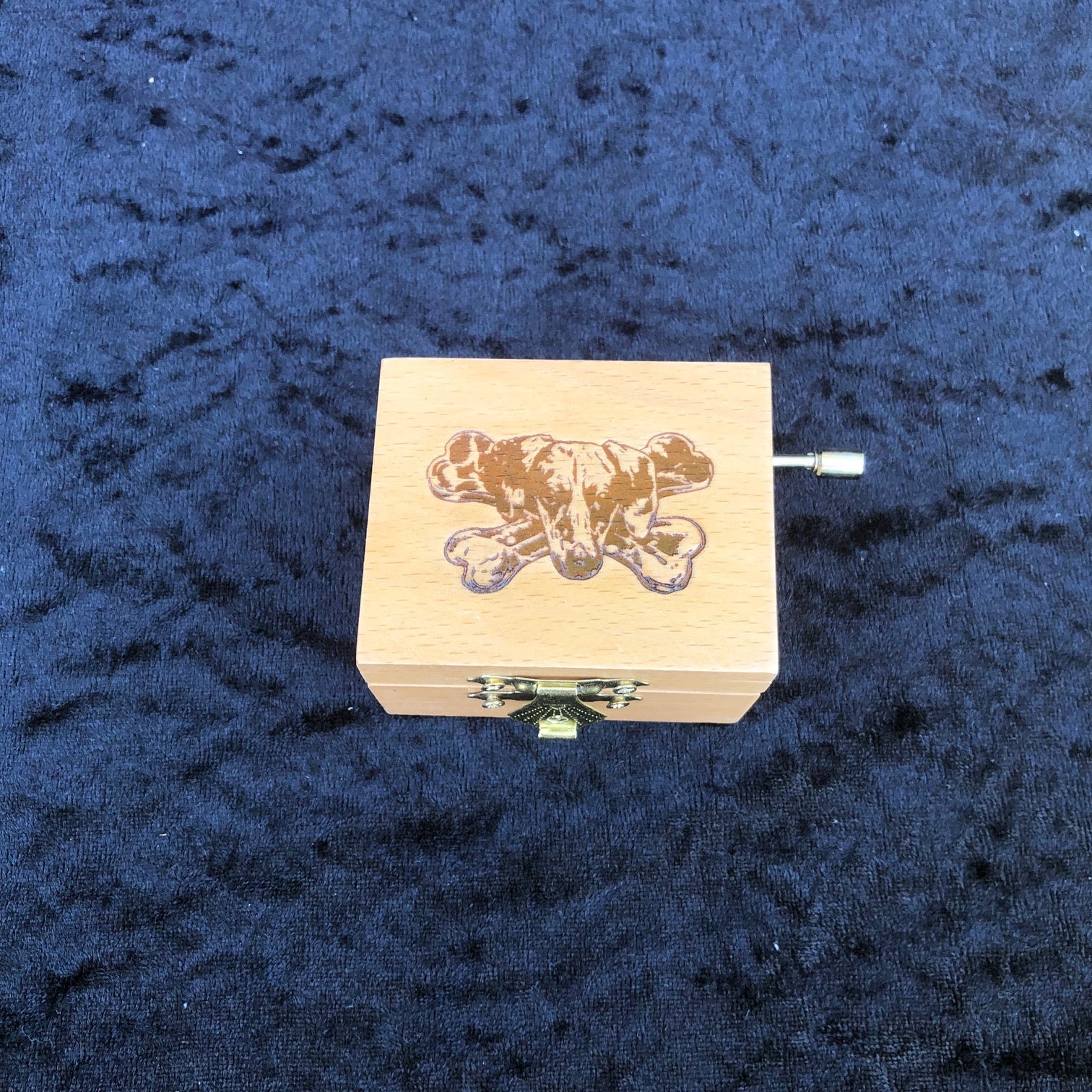 The Dogs Spilledåse